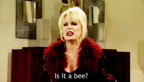 Gay Prime Minister tweet media