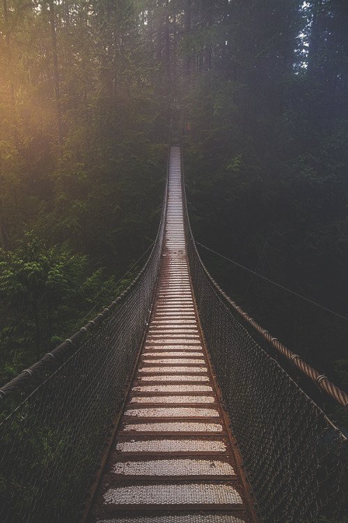 twowolvesbeer's tweet photo. Lynn Canyon by Kyle Szegedi #getoutside #lovethisplace
#twowolvesbrewing #vancouver #victoria #calgary
https://t.co/km0k3x9PEz https://t.co/WKSGIal6VM