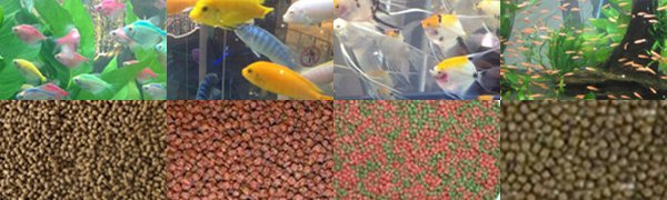 CFAMTech's tweet image. DID YOU KNOW: Extruded diets for feeding fish, main effects on fish are, an increase in fish growth and an improvement in feed conversion.