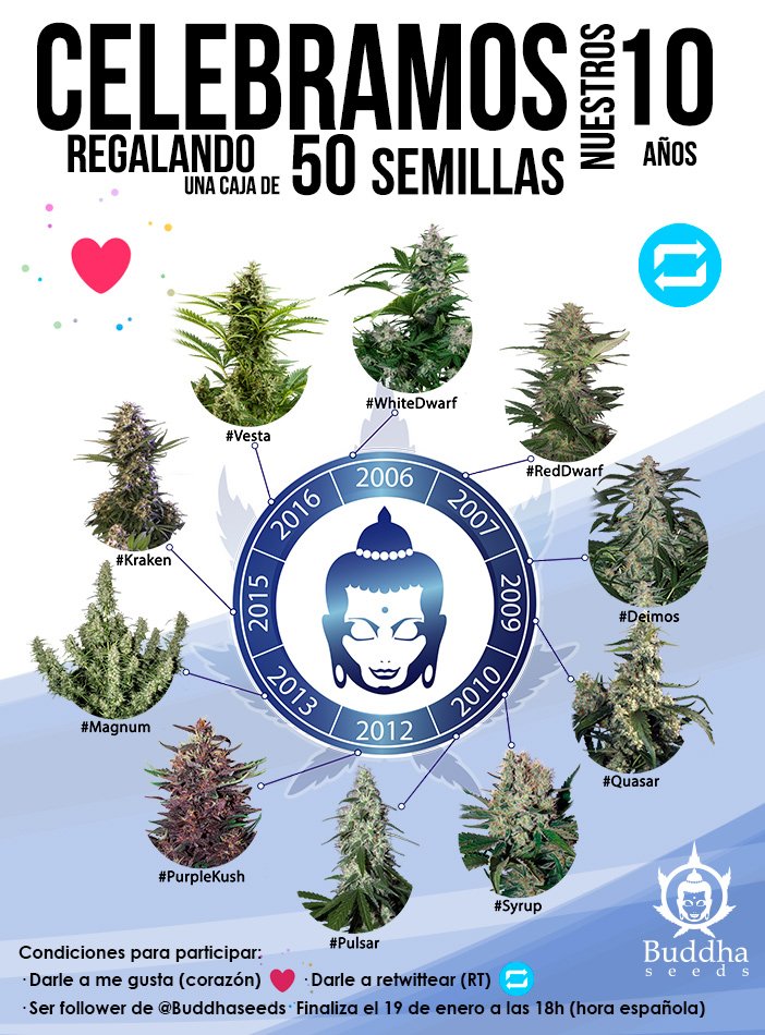 BuddhaSeeds's tweet photo. #Concurso en #Twitter por el 10 #aniversario de @BuddhaSeeds ¡Gana 50 #semillas de #cannabis de #BuddhaSeeds!Sigue las bases que se detallan https://t.co/SdBmUcEgzO