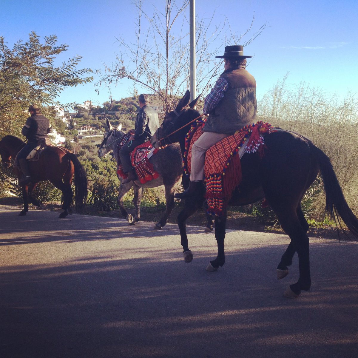 atrapamundoES's tweet photo. Yesterday we discovered Fiesta de San Anton in #Sedella! Lovely local experience! #malaga #adventureandalucia #Atrapamundo https://t.co/UBEIL4GWZk