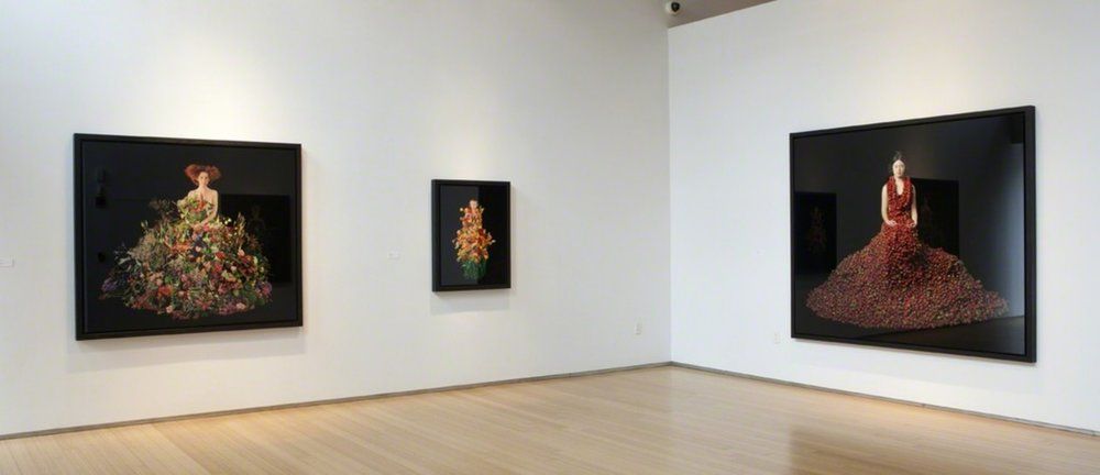 PotatoMikeArt's tweet photo. #nygalleries #contemporaryart #art #potatopick #potatomike PotatoMike loves the Nancy Hoffman Gallery https://t.co/7zYQlmC9Zx You will too https://t.co/rD8BqbvwW8