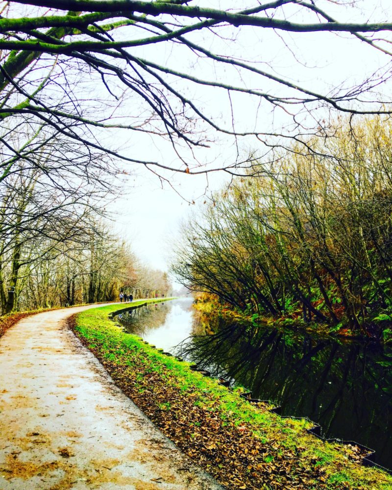 SamRSparrow's tweet photo. If you are skint AF these free things to do in January from @EmmaHart7 will be right up your street https://t.co/8r3dun3amg #freejanuary https://t.co/otbo0rJzgq
