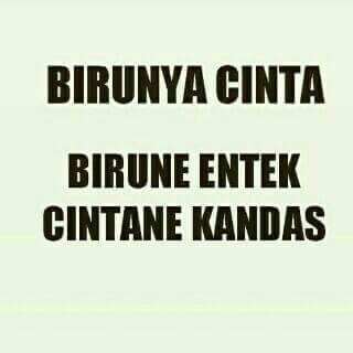 Topixhoo tweet media