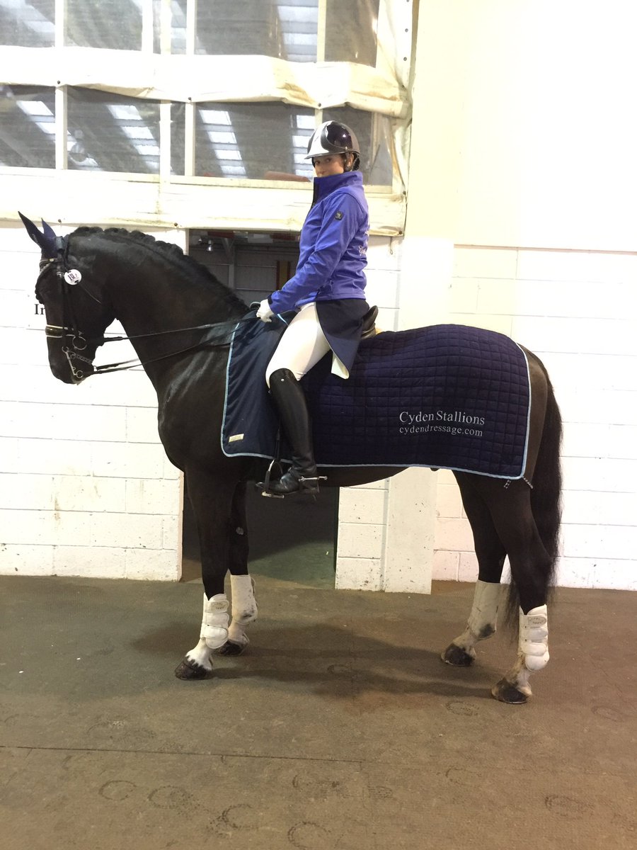 LaraDyson's tweet photo. A win on Felix in the adv med and 3rd place in a large PSG high profile show at addington this weekend - Great weekend good boys xx https://t.co/jHzCPmCjQZ