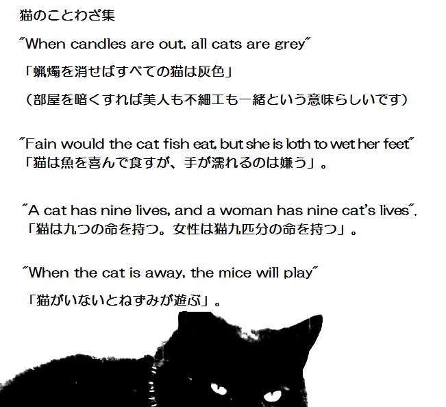 西洋魔術博物館 雑 猫魔術関連で十九世紀半ばの 猫の書 をチェックしていたところ 猫のことわざが紹介されていましたので目ぼしいところをざっと意訳