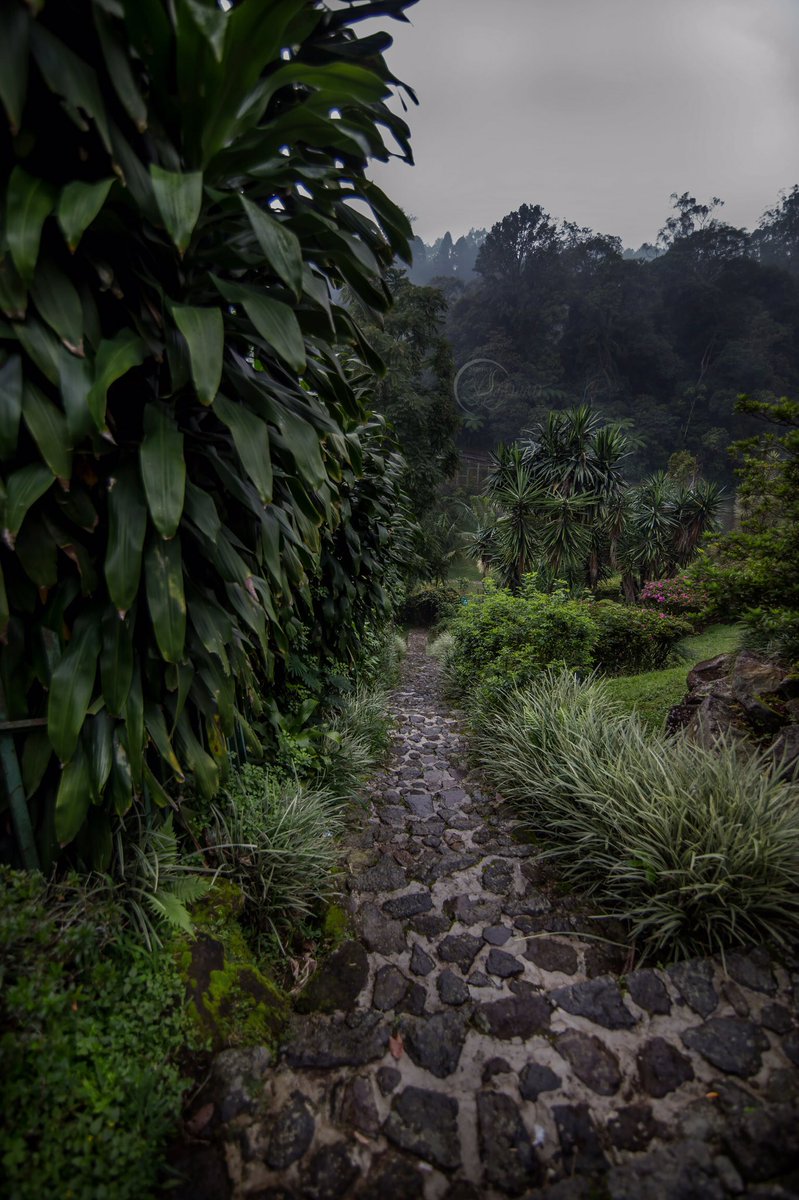 jawad_alamri tweet media