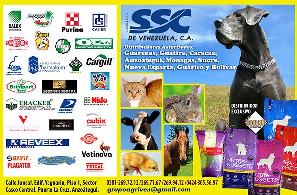 MascotasToday's tweet photo. SSC de Venezuela mayorista y distribuye #productosparamascotas #medicinasparaanimales +info https://t.co/oXxq13zmV8 #nutranuggets #royalcat https://t.co/pE50mRRo9p