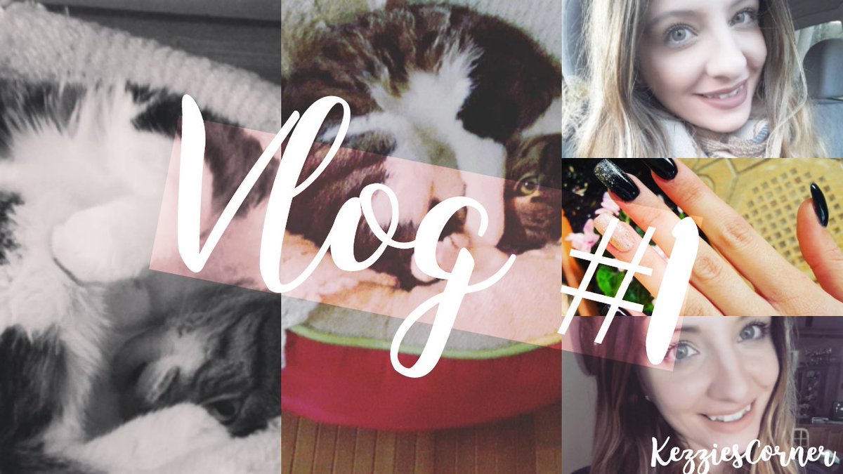 KezziesCorner's tweet photo. #NEWVIDEO #RT #VLOG #VLOGGING #GAIN!! #MYLIFE #CATLOVER SEE WHAT I WAS UP TO LAST WEEK! https://t.co/GHZSFNJOGm #SMALLYOUTUBER #VLOGGER https://t.co/mg016R8Sko