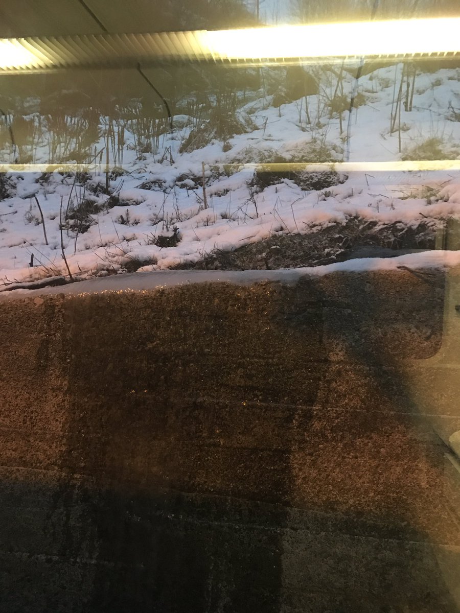 Velkommen til Trengereid! #foretjævlahøl