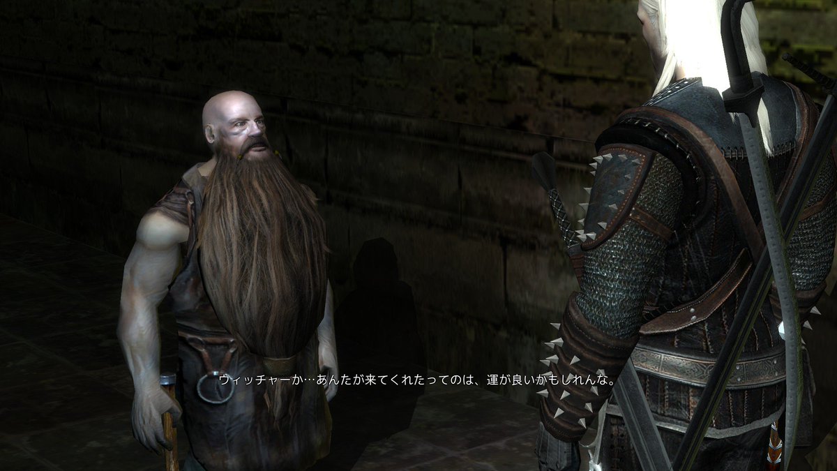 The Witcher Enchanced Editionの思い出