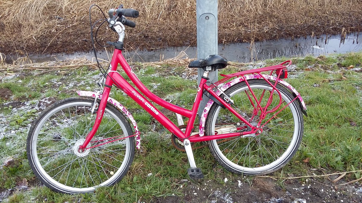 minivanmini's tweet photo. @verlorenopurk van wie is dit fietsje? https://t.co/oWw4Yer0y0