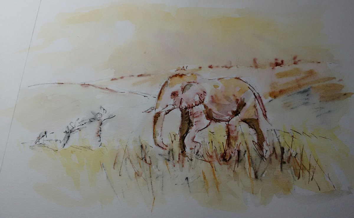 A late starter for #sketchjanuary! Inspired by newspaper photo and wildlife programmes #elephants. Pen &amp; wash