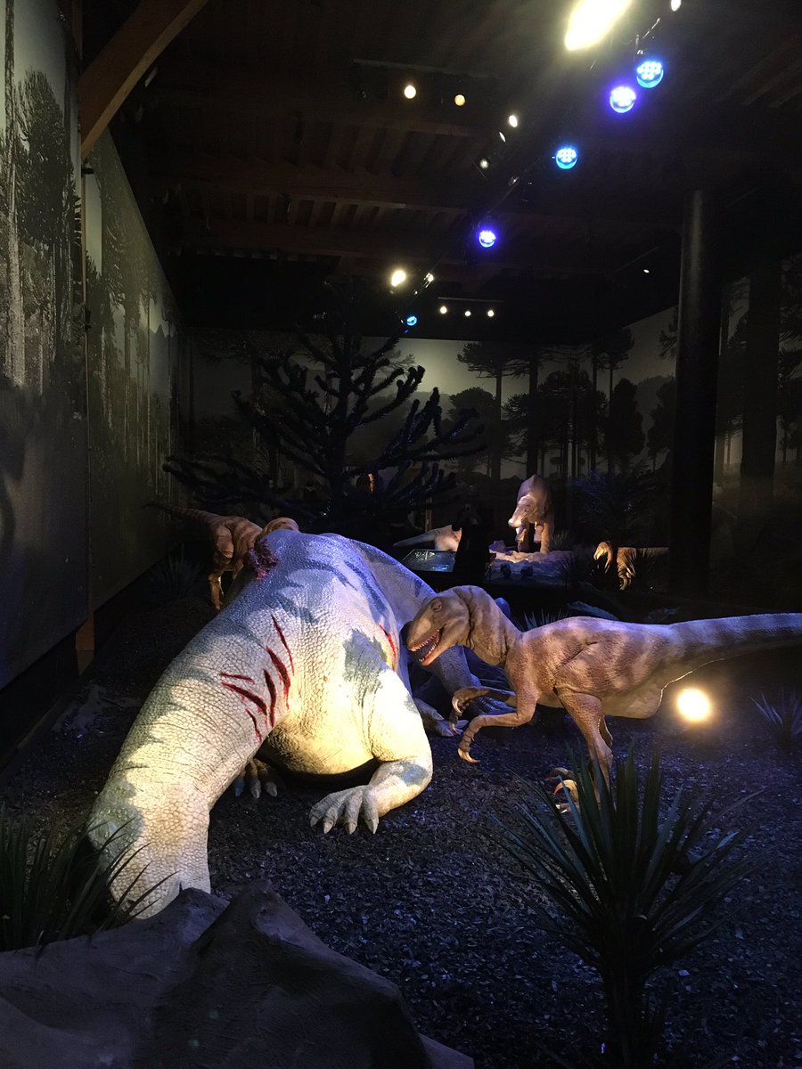 YvonneKret's tweet photo. Gezellige borrel @GvEventmanagers @museumnaturalis. Veel leuke mensen gesproken, top muziek@GuidoSpek. En dat alles bij onze #trex Trix😀 https://t.co/WioKINu4tK