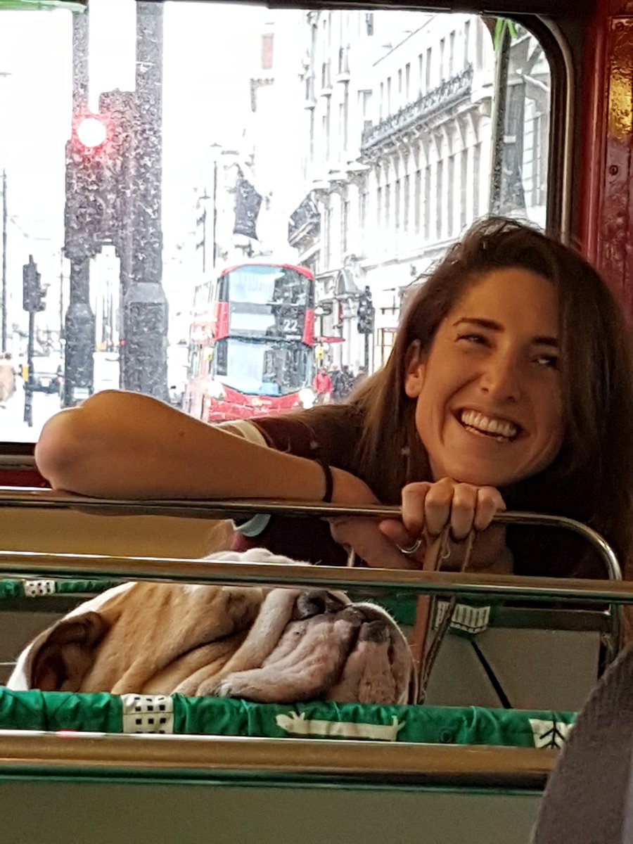 Canary_Woof's tweet photo. Good fun had by everypawdy on the Dog Bus Tour of #london #doggyssentials #canarywoof https://t.co/SiegAZ3Ocs