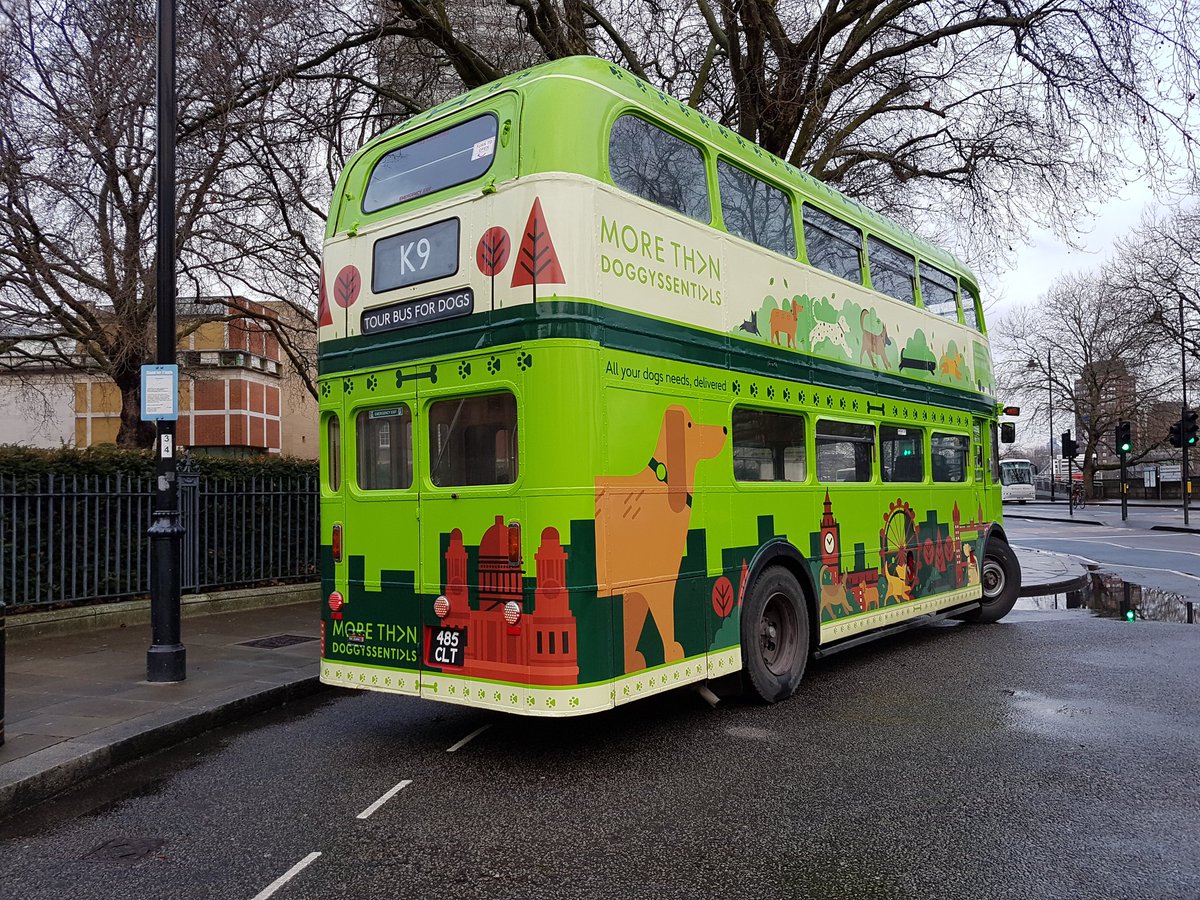 Canary_Woof's tweet photo. Good fun had by everypawdy on the Dog Bus Tour of #london #doggyssentials #canarywoof https://t.co/SiegAZ3Ocs