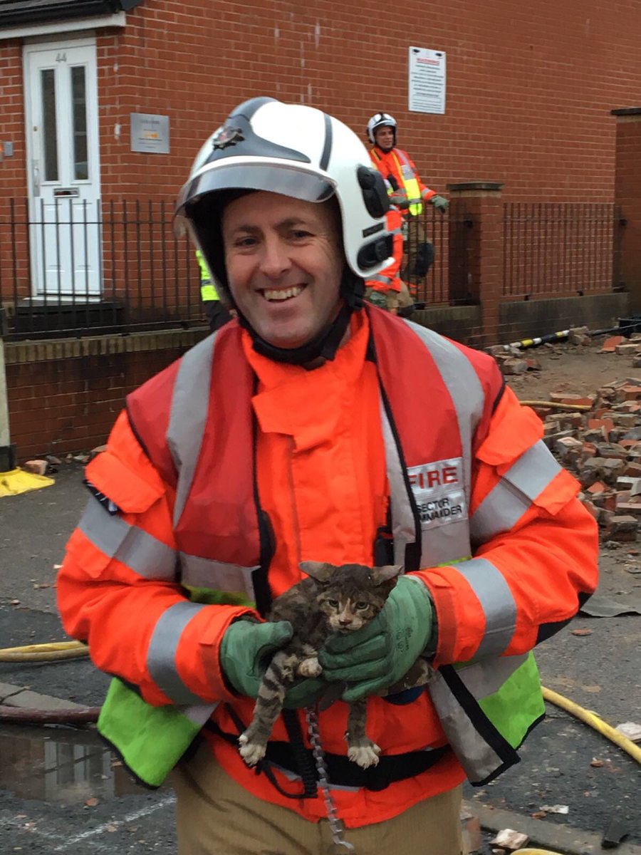 fireserviceman's tweet photo. @manchesterfire Wm Gaz Phillips carries injured kitten to safety following gas explosion on Cecil road. https://t.co/k5FOdxHYEC