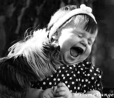 ƥlumɛ ɗ Aɲɠɛ On Twitter La Vie Est Plus Belle Avec Une
