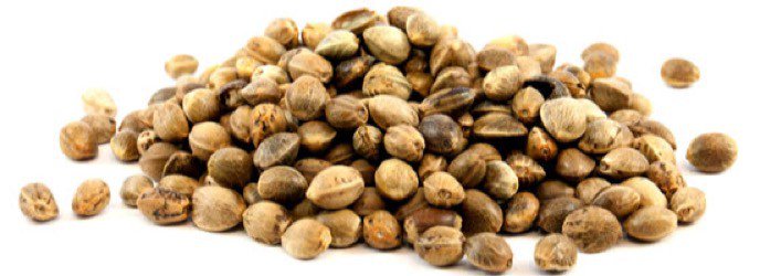 Oregon Bill Would Create Hemp Seed Certification Program; Another Step to Nullify… nationalhempassociation.org/oregon-bill-wo…