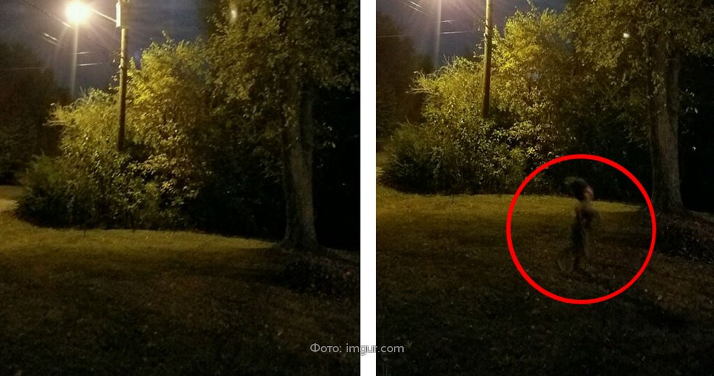 Виды запечатлевающей фотографии: найдено 78 изображений