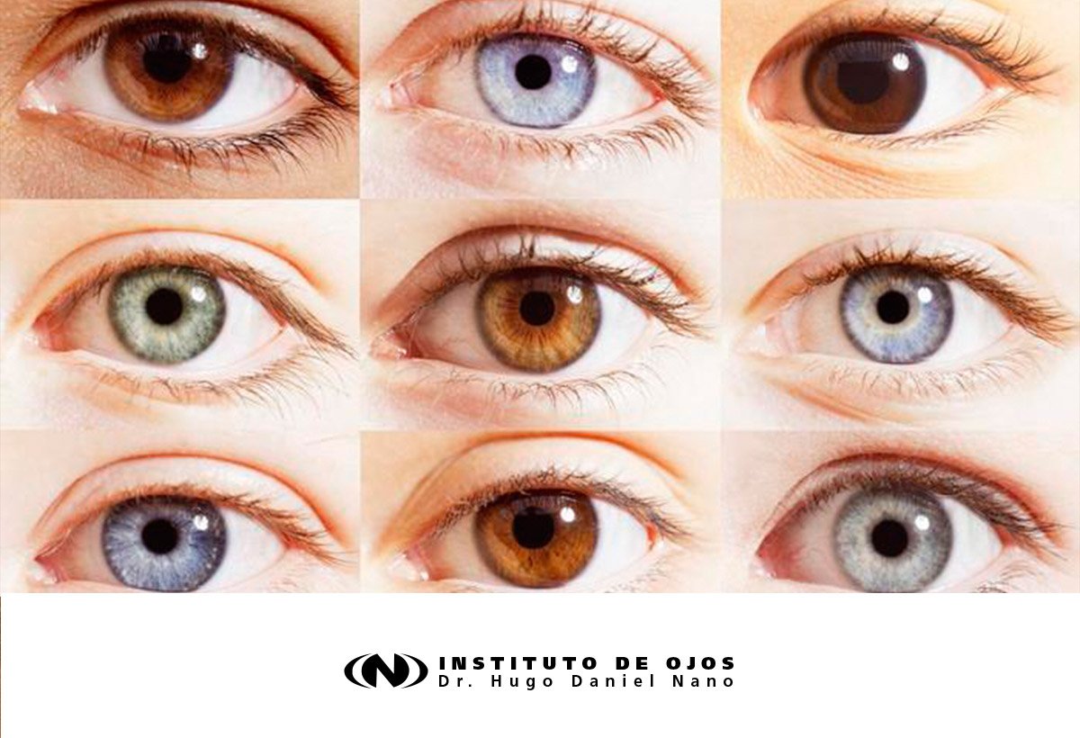 instituto_nano's tweet photo. El color de ojos depende de la cantidad de melamina en nuestros iris. A mayor densidad de melamina, más oscuros serán nuestros ojos. https://t.co/mM5jrzp0OZ