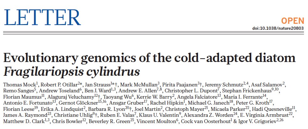 Th_Mock's tweet photo. Our paper on the genome sequence of the polar diatom Fragilariopsis is now out in Nature after >10 years of work! https://t.co/xAb6QTTsho