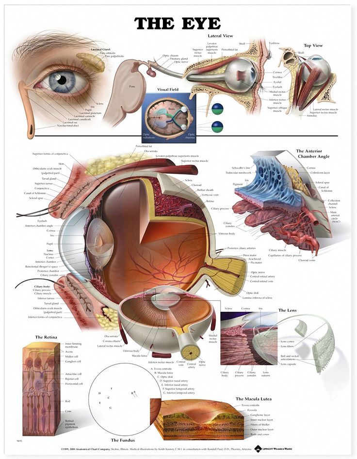 Another cool #eyechart