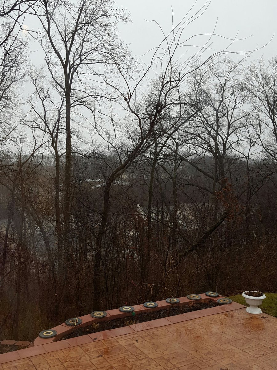 Kelly Davis tweet media