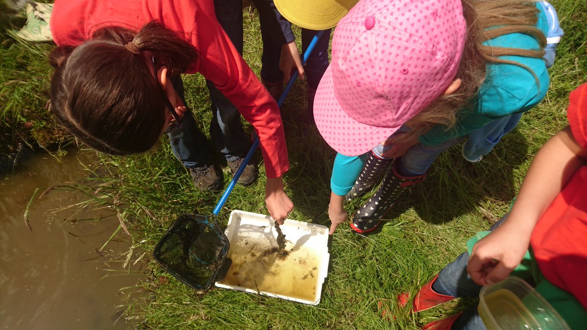 The Roots Project Rootsprojectcv Twitter