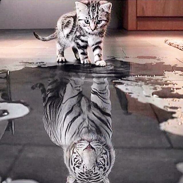 IAENetwork's tweet photo. How you see yourself is much more important to how others see you.  #Believe in yourself and all that you are.  #BeMore #MotivationMonday https://t.co/wMbudHkmEH