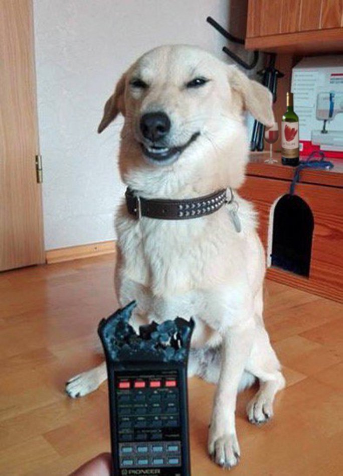 ...And he was not even remotely sorry...