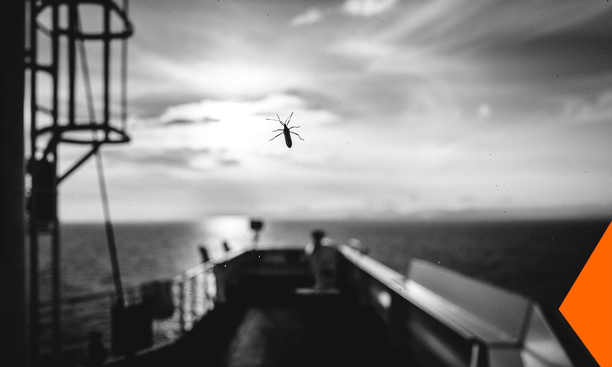 HapagLloydAG's tweet photo. Sometimes one feels small on board a containership. It never lasts long though, at least until a sense of adventure kicks in. #containership https://t.co/8JuLpOWil9