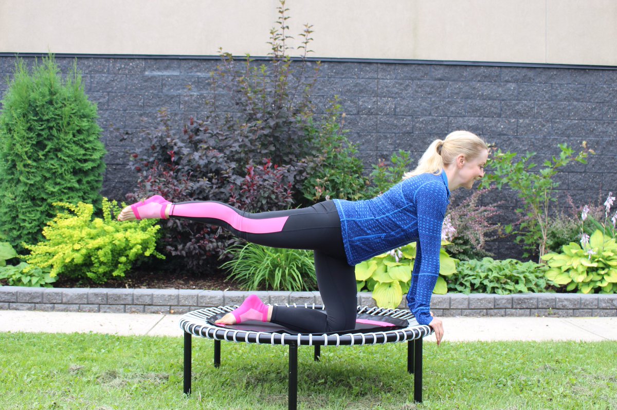 Marjorie O'Connor tweet media