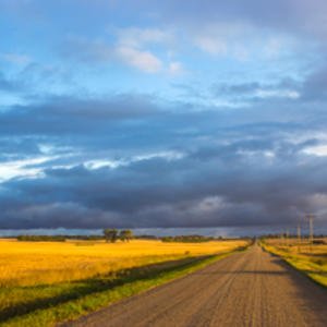 inforum's tweet photo. Farmland rental rates dropping overall https://t.co/u9GZewxzoF https://t.co/4qVJAKrQ6v