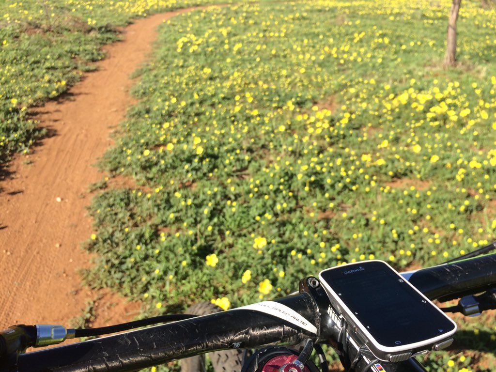 delangetristan's tweet image. Although the trail was pretty clear, my @GarminSA still led the way. #therightwaytogo