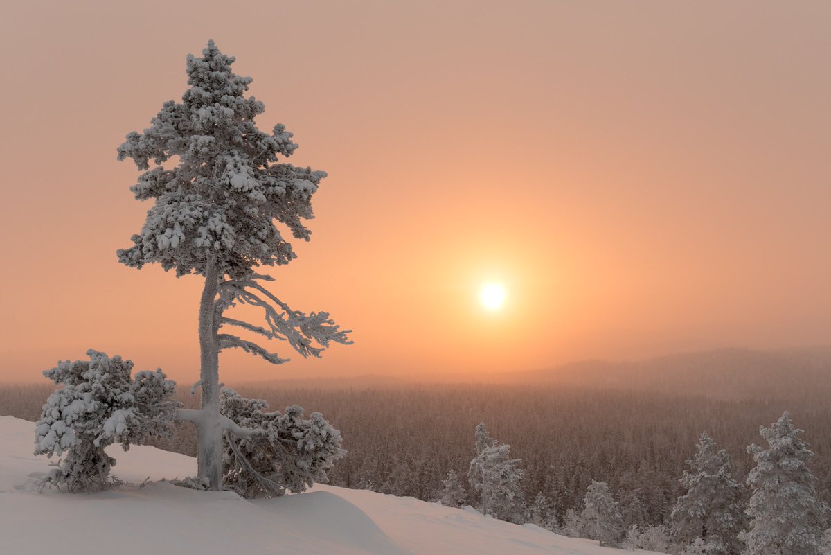 Kiili's tweet photo. Polar night is over #photography #lapland #visityllas #weather https://t.co/oemm0NyoQp