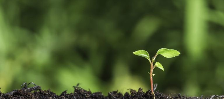 Leuk om eens tot je te nemen: Top 5 #TalentManagement predictions for 2017 in #AUSTRALIA buff.ly/2jh7TAz #HRD