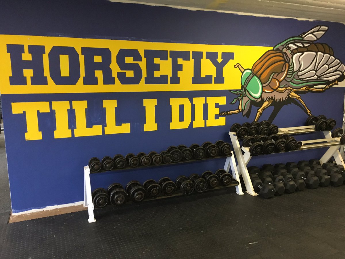 @DurbanHighDHS DMG gym looking great! Massive thanks to DHSOB <a href="/DustedInk/">Dud</a> for his time and talent! #prepareforgreatness #horseflies