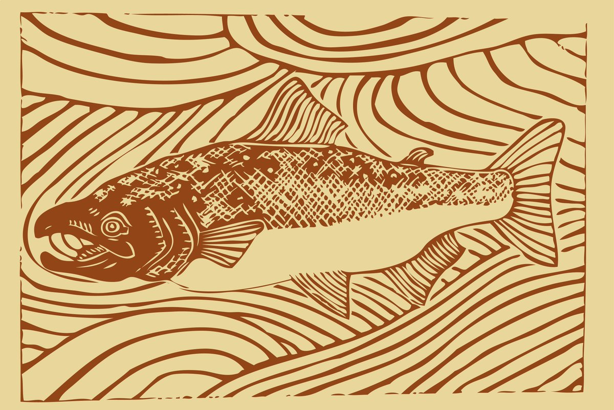 Recent salmon print commission, taster of things to come! #salmon #printmaker #linocut #linoprint #artprint #lino #freelanceillustrator