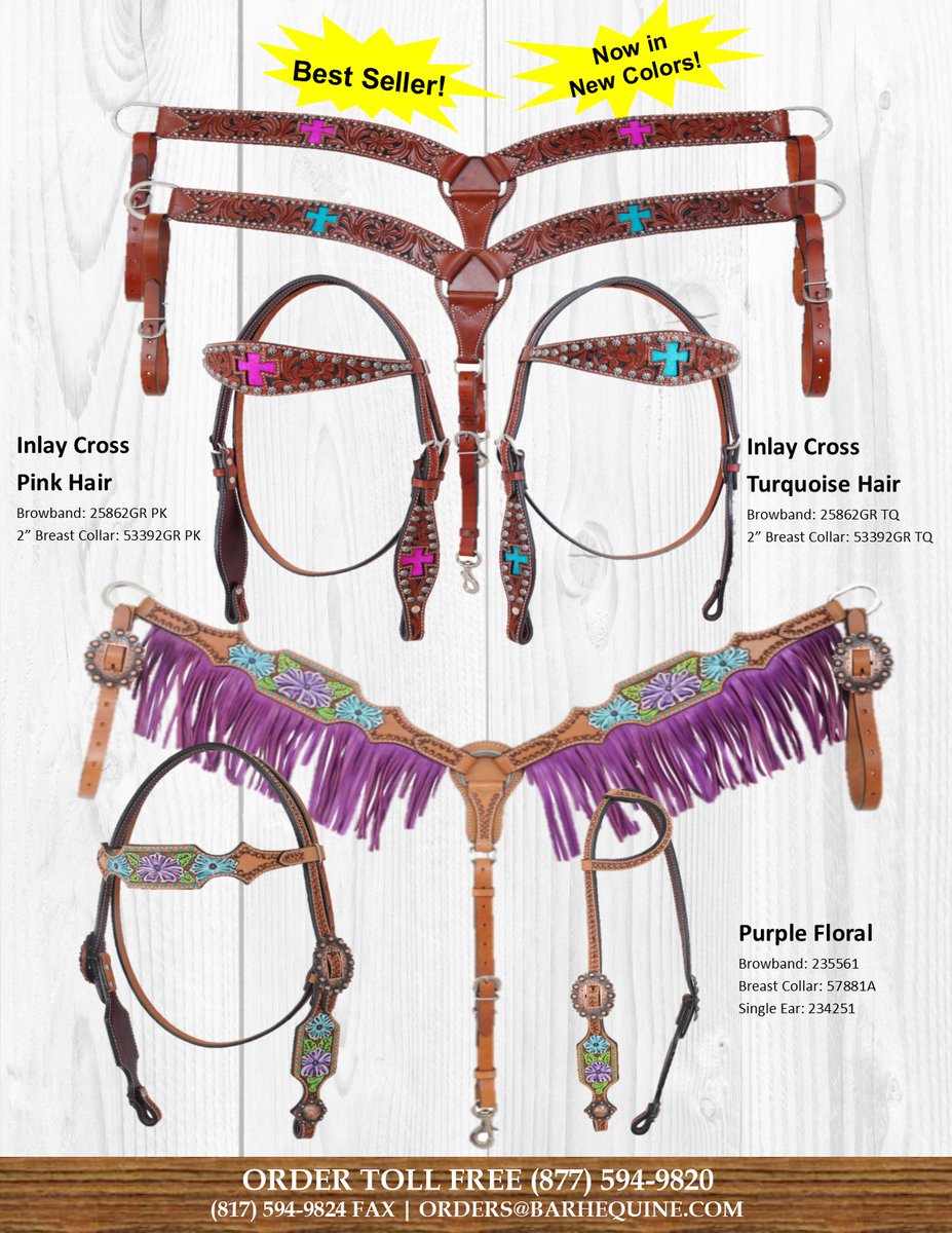 BAR H EQUINE tweet media
