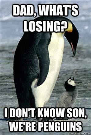 YOLOPenguins's tweet photo. @BA_Krakens https://t.co/pCzrDREzk2