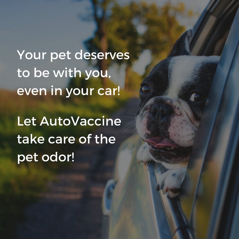 AutoVaccine's tweet image. #AutoVaccine, with its proven technologies, can remove pet and urine #odors easily. Leaves you just to enjoy with your loved #pets! 😎
