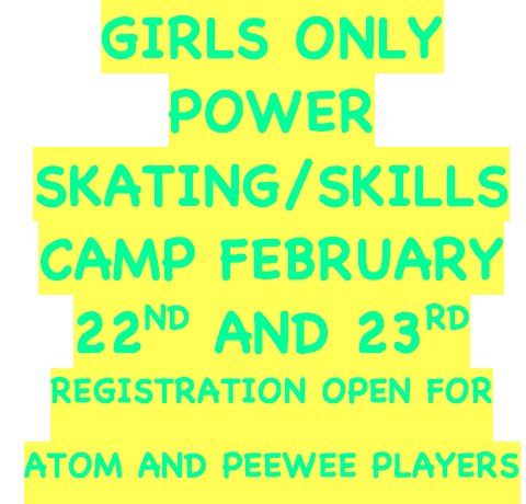 SAOHockey's tweet image. New camp  seriousacademyofhockey.com power skating, puck control, shooting, stick handling and more! 2 ice per day+gym+hockey IQ! #fastpacedfun