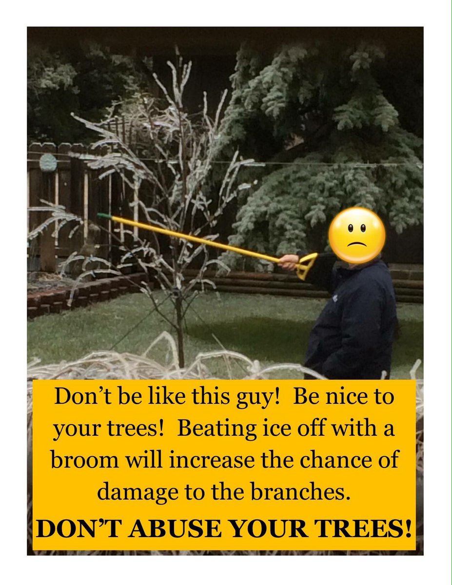 It's best to leave your trees alone and let the ice melt naturally!