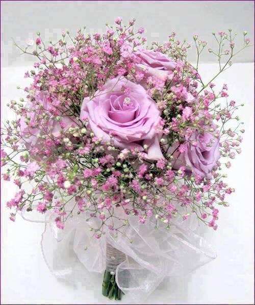 KElhlo's tweet photo. @chiyononno https://t.co/dwswGDZ5Zw