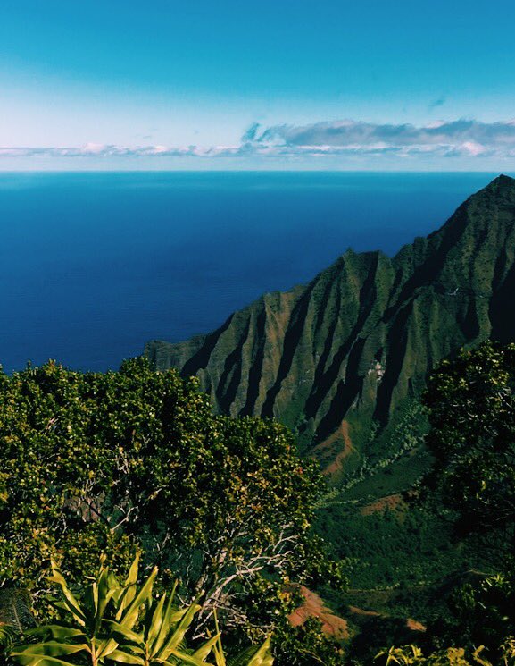 casey_c19's tweet image. Take me back to Hawaii🐚🌊