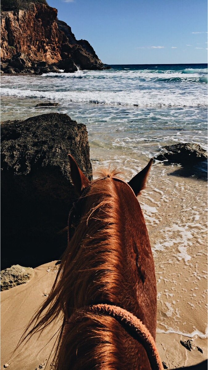 casey_c19's tweet image. Take me back to Hawaii🐚🌊