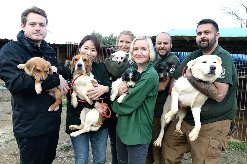 Humane World for Animals UK tweet media