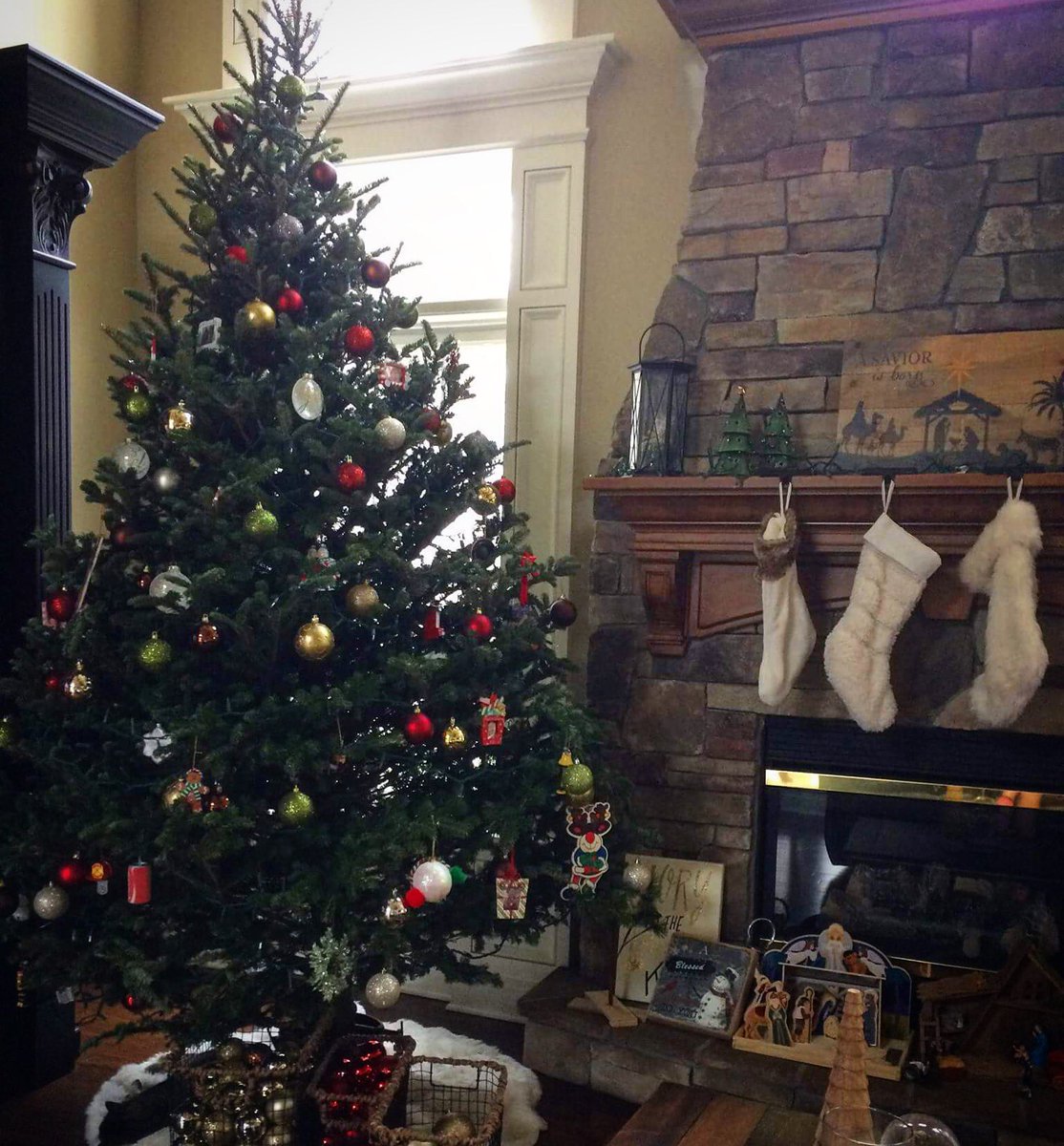 JPRWineCellars's tweet photo. Last year we had our Christmas tree up until March 🙊🙈 How long do you think it'll be up this year??? https://t.co/sf6iWOrsPO