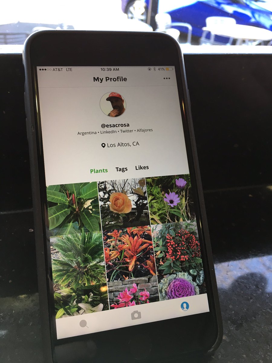 thebotanicapp's tweet photo. The app is close to be feature complete for 1.0-alpha release. https://t.co/IgbELnTYVK